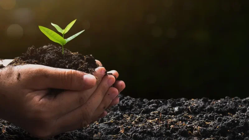 O Que Aconteceria Se a Terra Parasse de Girar? Descubra Agora